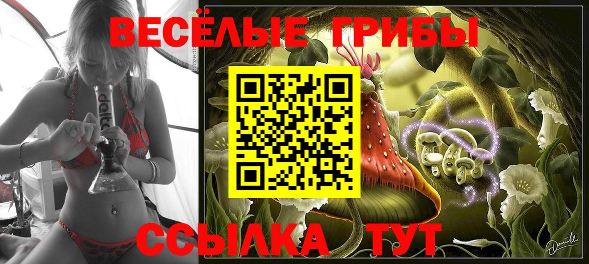 Псилоцибиновые грибы ЛСД Кимовск